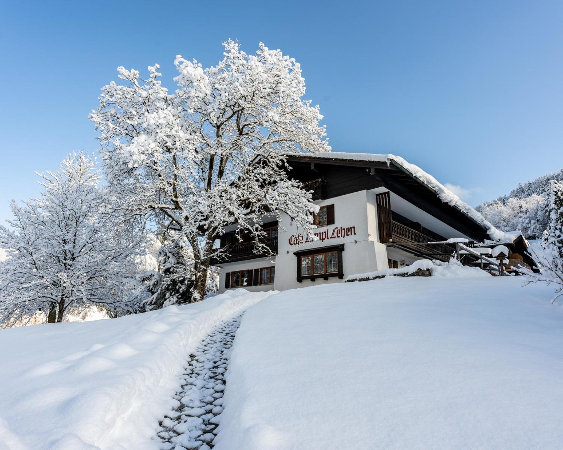 Hotel & Chalets Lampllehen Marktschellenberg Dış mekan fotoğraf